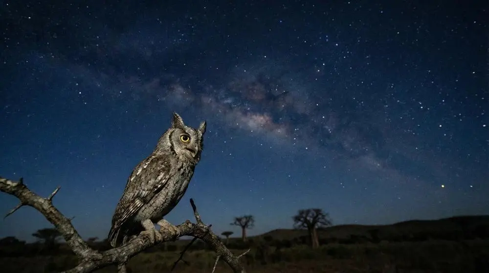 How to Get to Amboseli National Park