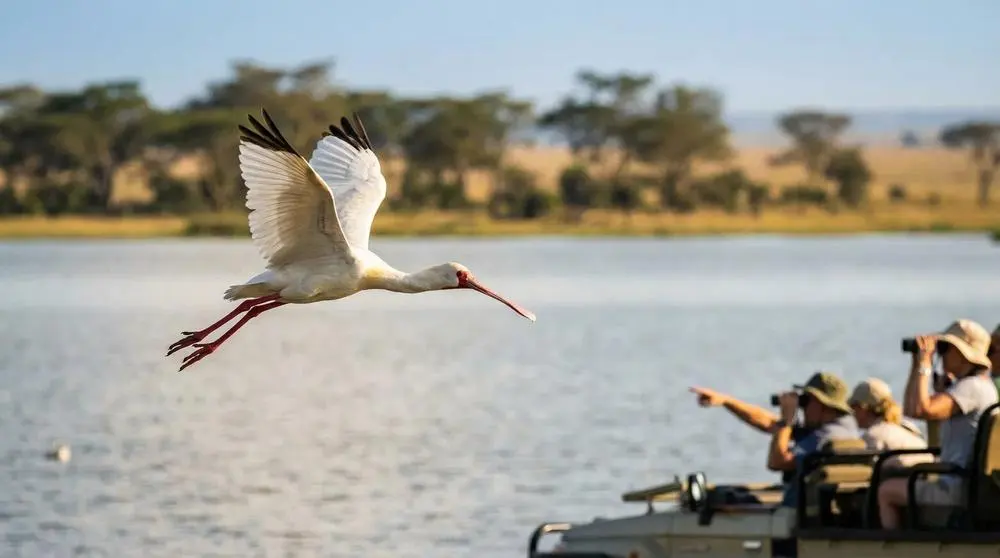How to Get to Hluhluwe-iMfolozi Park