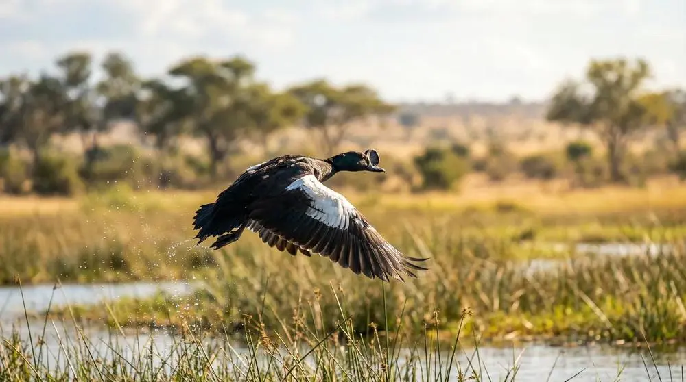 Photographing Wildlife in Laikipia Plateau Conservancies