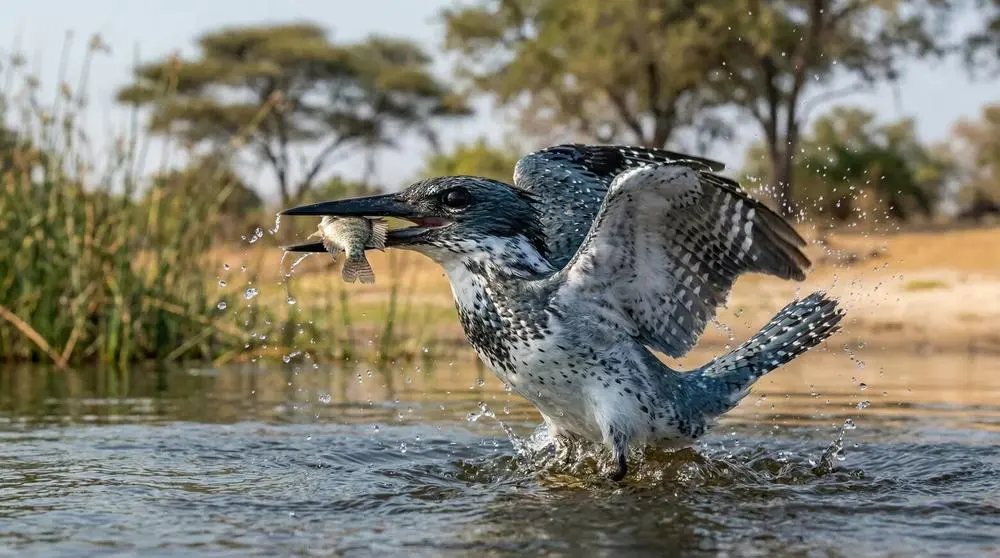 Planning a Safari to Masai Mara National Reserve