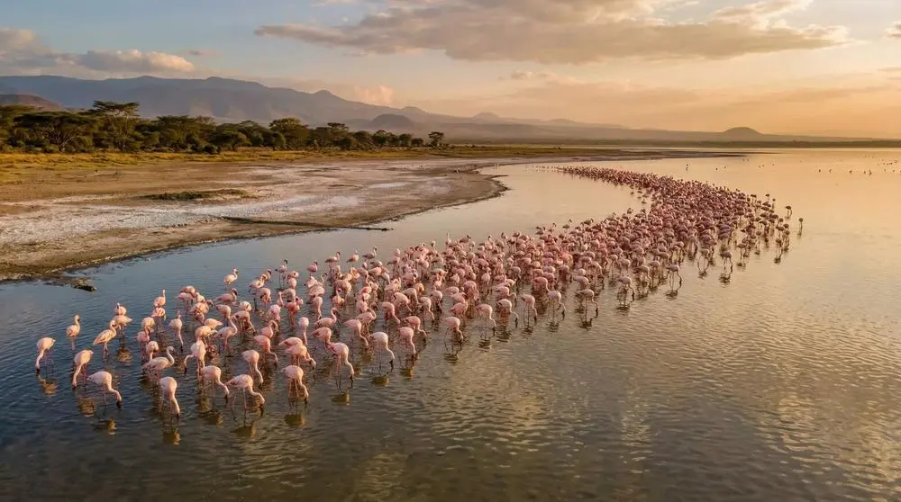 Best Time to Visit Etosha National Park