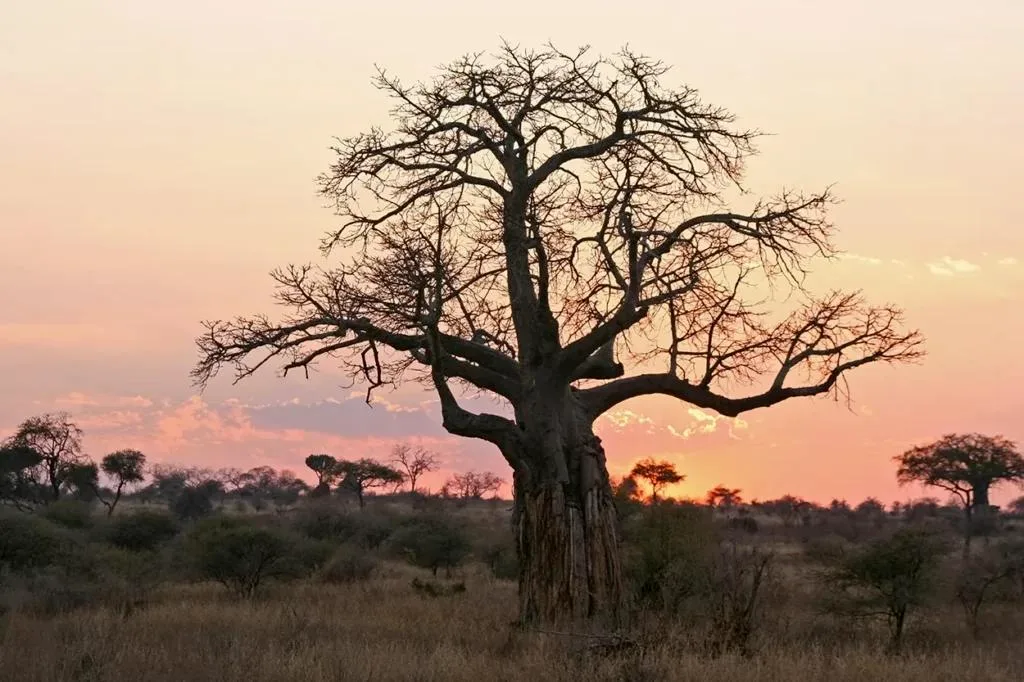The Best Destinations for the Great Migration