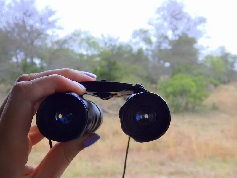 How to Plan a Birding Safari