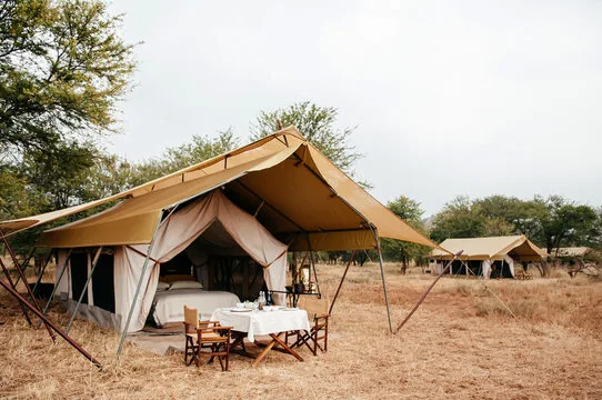What to Look for in a Family-Friendly Safari Lodge