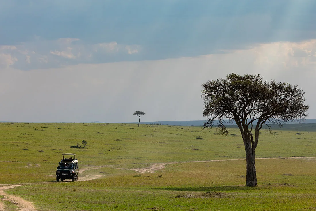 How to Choose Safari Activities