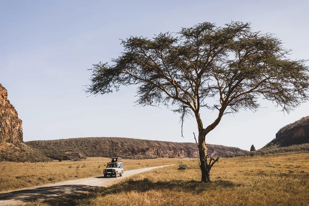 How to Back Up Your Photos on Safari
