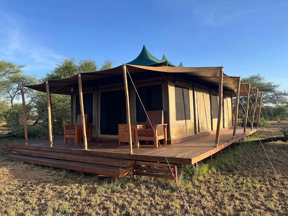 How to Choose a Safari Lodge