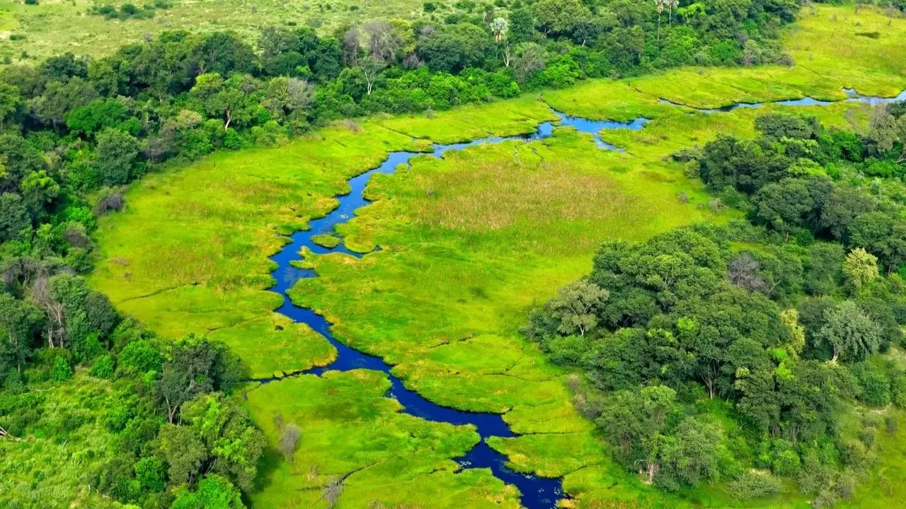 The Okavango Delta Safari Explained