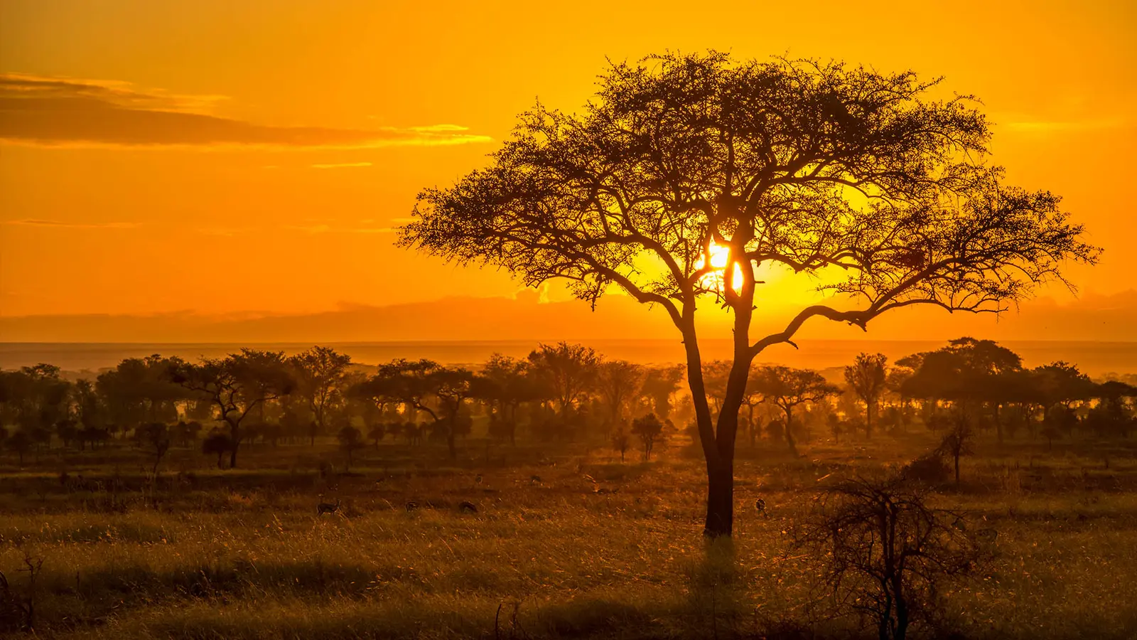 Tanzania's Northern Circuit Explained