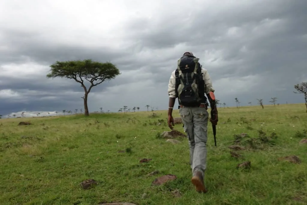 Horseback Safari Explained