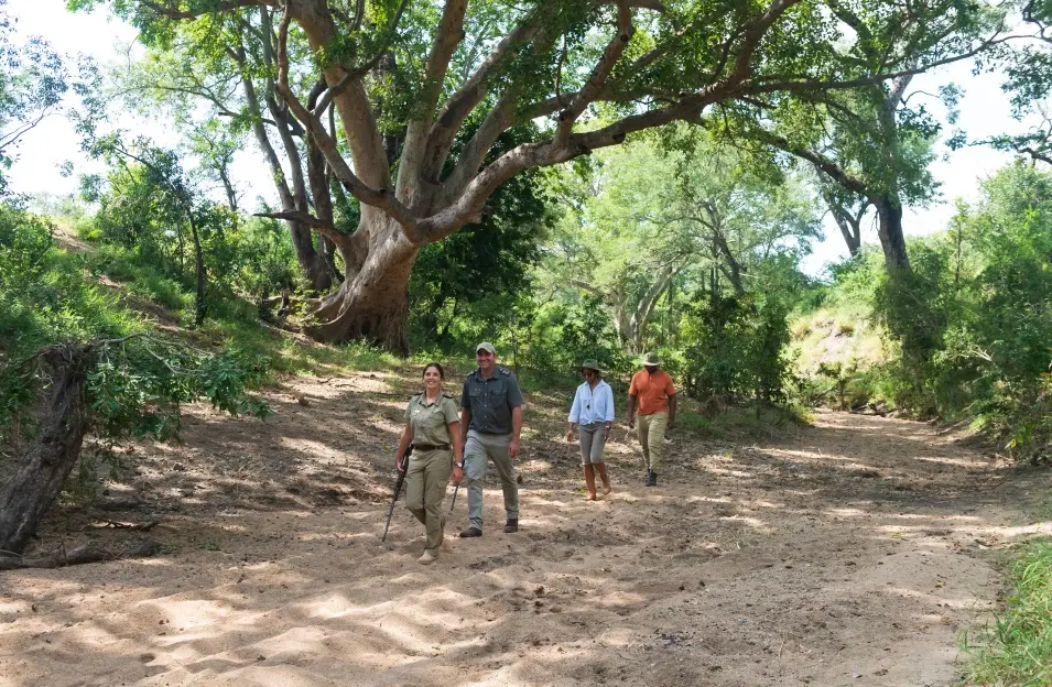 Boat-Based Safaris Explained
