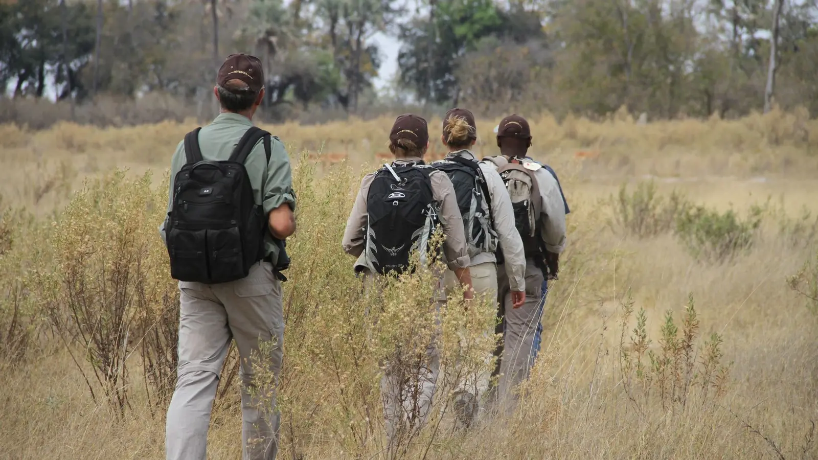 Addo Elephant National Park Safari Guide